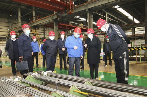 丁錦霞帶隊調研石家莊市復工復產企業(yè)特種設備安全保障工作